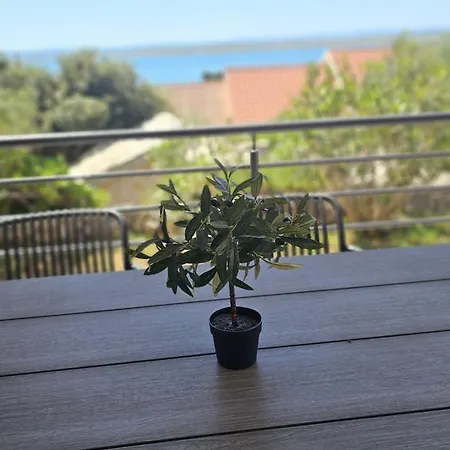 Look Smokvica Pag Apartmán