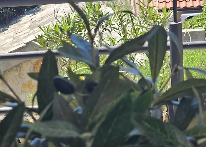 Look Smokvica Pag דירה Smokvica (Pag)